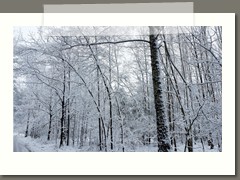 Majka_Bartosik (4)