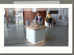 IMG_20221004_095917