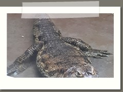 Wycieczka klas piatych do Łodzi