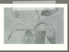Monochromatyzm w klasach 4 a i b