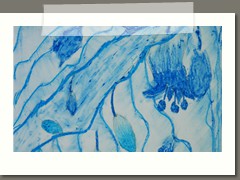 Monochromatyzm w klasach 4 a i b