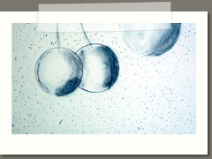 Monochromatyzm w klasach 6 a i b