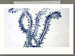 Monochromatyzm w klasach 6 a i b