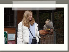 Wycieczka klas szóstych i siódmych w Beskid Śląski 