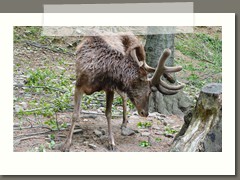 Wycieczka klas szóstych i siódmych w Beskid Śląski 