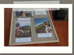Podsumowanie konkursu fotograficznego