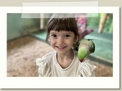 Messenger_creation_D734E205-5361-443B-A479-6314A9CA422C