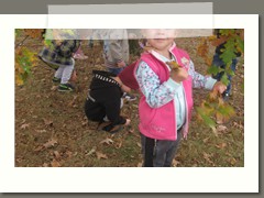 IMG_3621