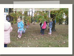 img_3623-1