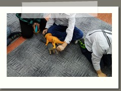 IMG_20200226_092817