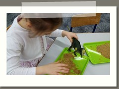 IMG_20200226_093347