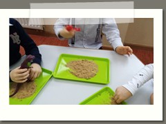 IMG_20200226_093413