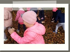 IMG_20201029_111958