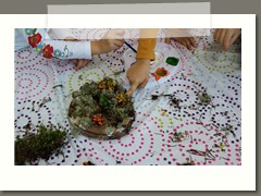 IMG_20191017_104435