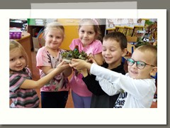 IMG_20191017_110445