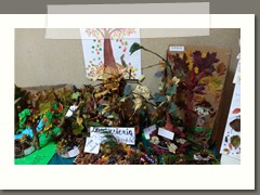 IMG_20191028_081219