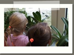 IMG_20201202_123135
