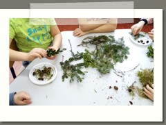IMG_20210209_090420
