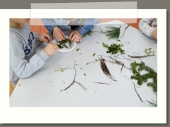 IMG_20210209_090426