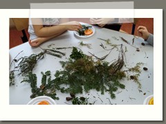 IMG_20210209_090611