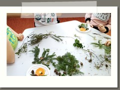 IMG_20210209_090647