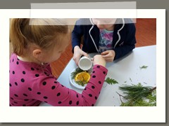 IMG_20210209_091225