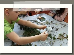 IMG_20210209_091322