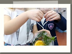 IMG_20210210_082750