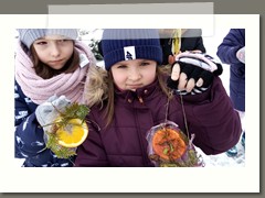 IMG_20210210_105549