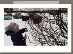 IMG_20210210_105719