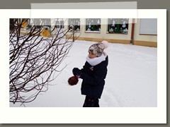 IMG_20210210_105934