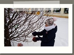 IMG_20210210_105937