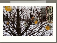 IMG_20210210_110018