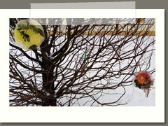 IMG_20210210_110028