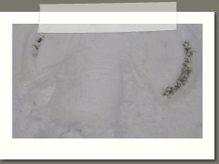 IMG_20210210_110325