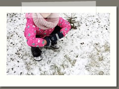 IMG_20210129_121345