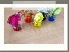IMG20211007074552