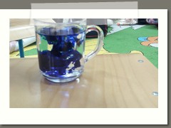 IMG-20191127-WA0065