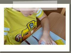 Sówki i ich jesienny las