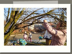 IMG_20201130_120136