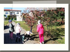 IMG_20211011_113300