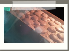 172420009_533442017638762_3341106073132403496_n